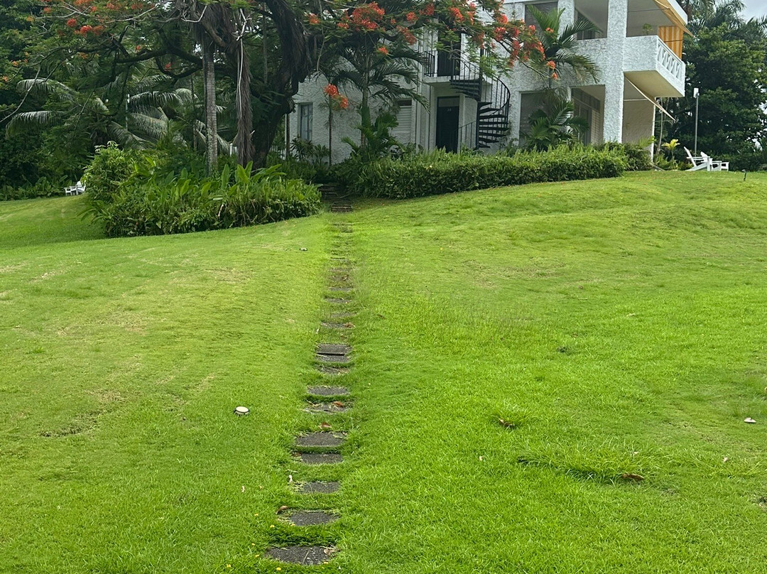 Goblin Hill Villas at San San主图