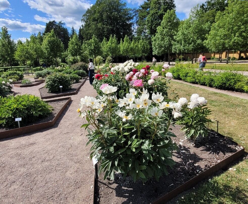 Botaniska Trädgården-乌普萨拉必去景点