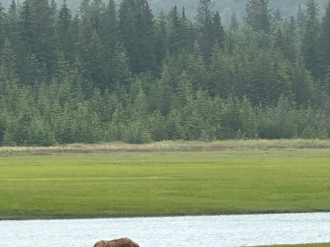 Alaska Ocean Pros-荷马必去景点