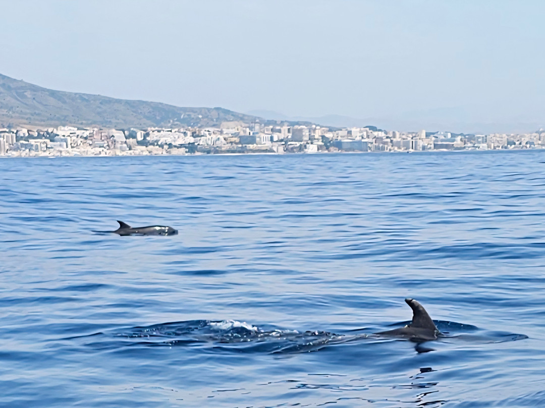 Mustang Benalmadena-班纳玛德纳必去景点