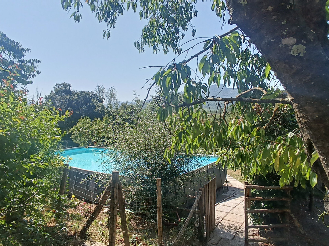 Agriturismo Podere Asche主图