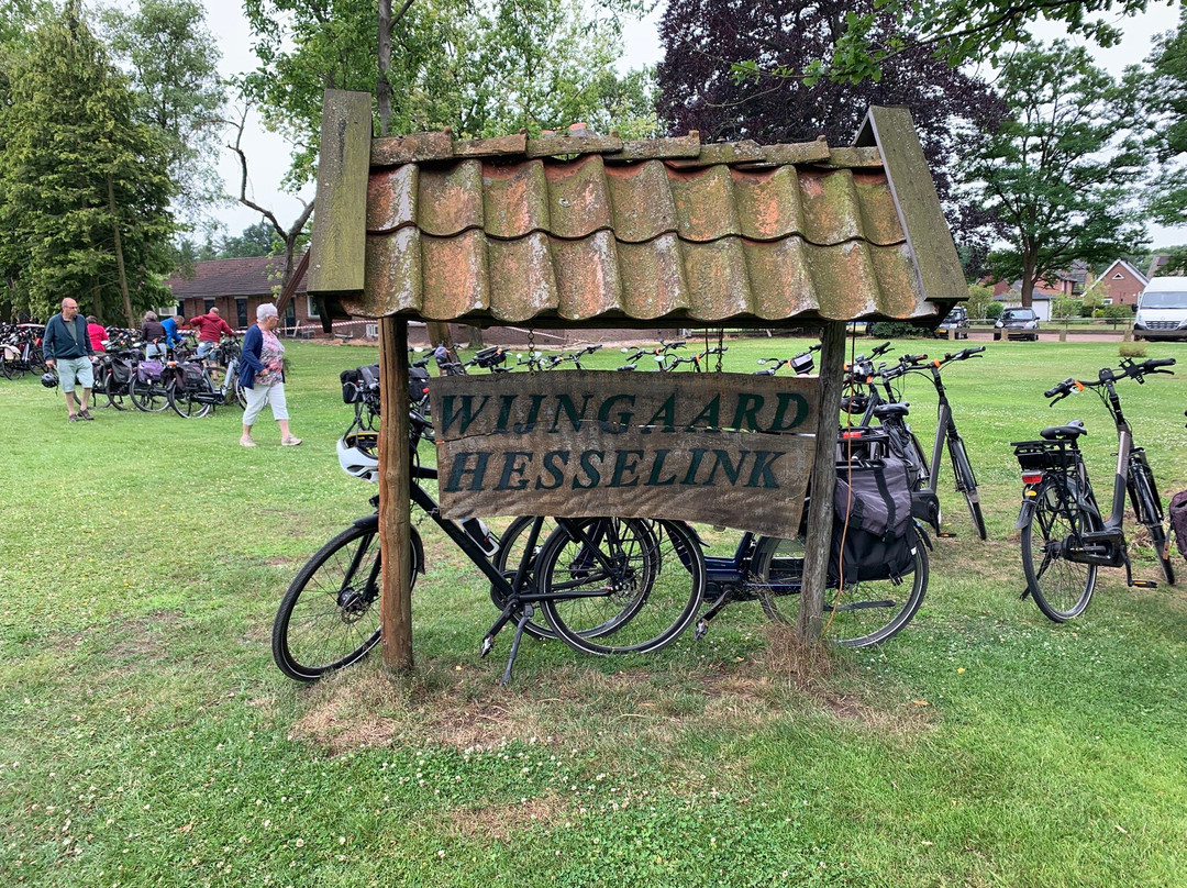Vineyard Hesselink-Winterswijk必去景点