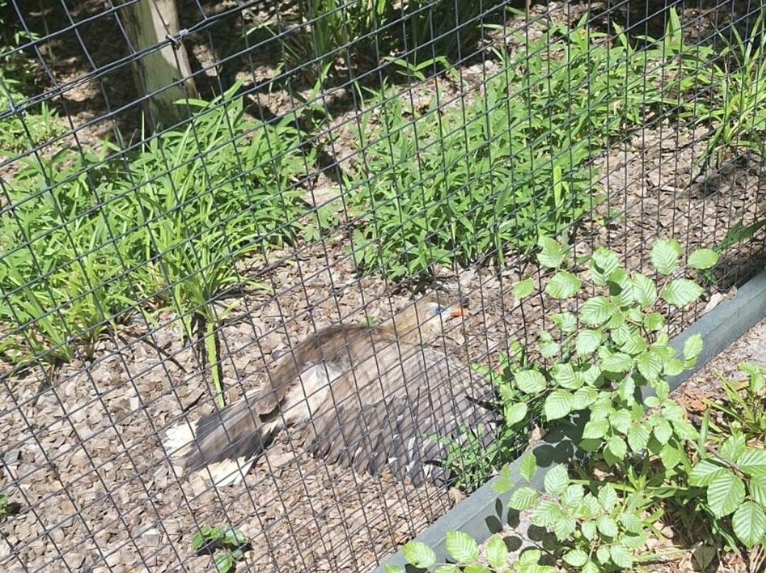 Zoo Dortmund-多特蒙德必去景点