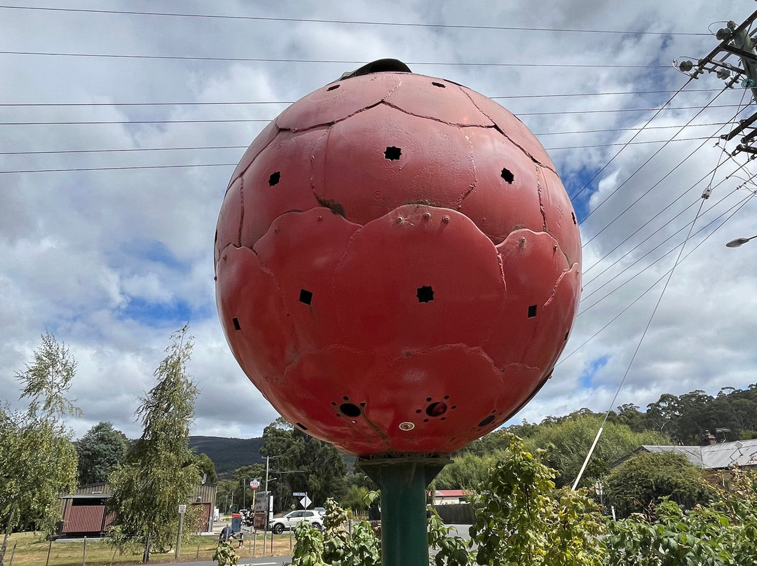 The Westerway Raspberry Farm-Westerway必去景点