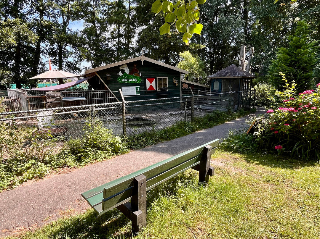 Heerenschoolbos-Katwijk必去景点