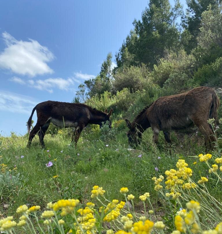 Mirador de Bernia-Jalon必去景点