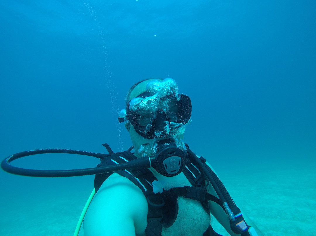 Blue Water Divers & Watersports-Sandys Parish必去景点