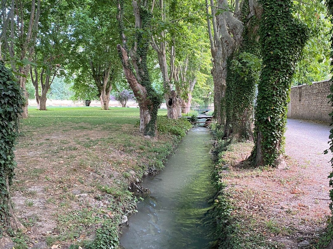 L'Auberge du Parc主图