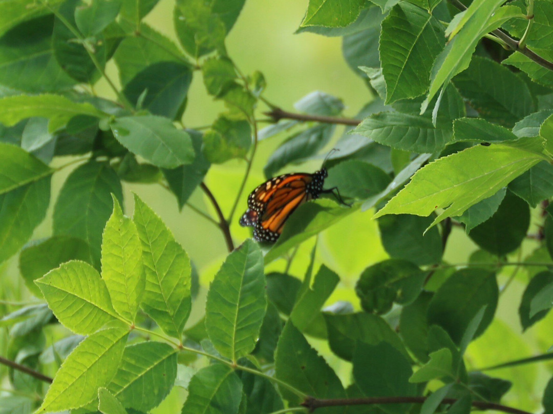 Aztalan State Park-Lake Mills必去景点