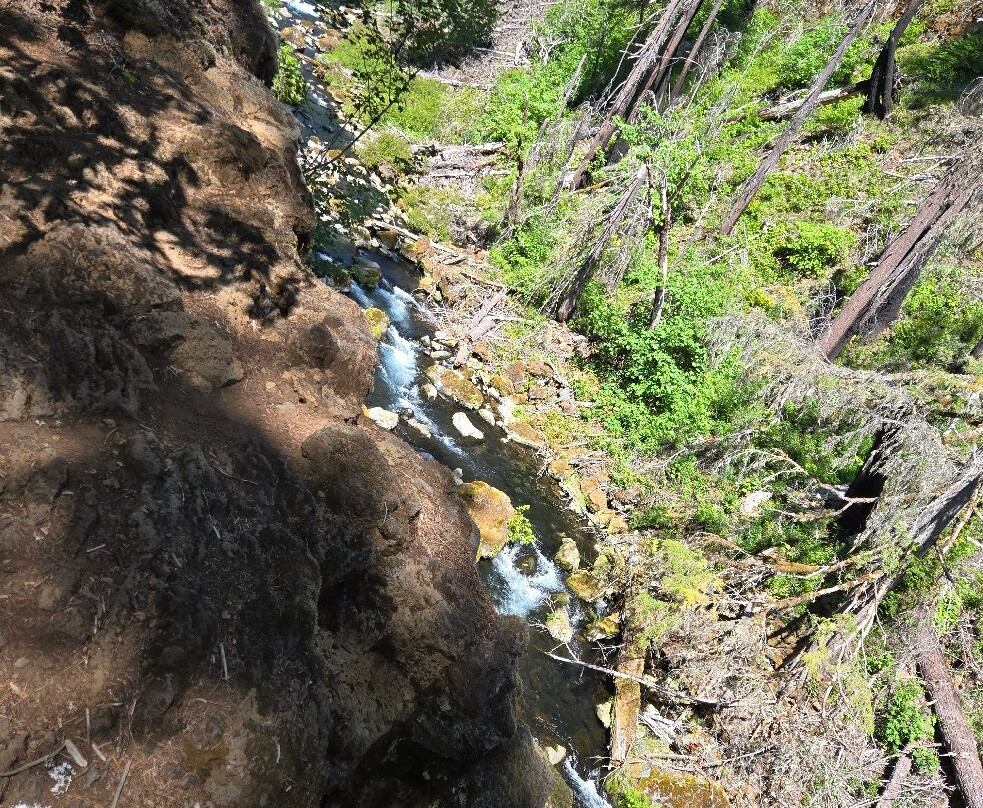 Tamolitch Pool Trail-Cascadia必去景点