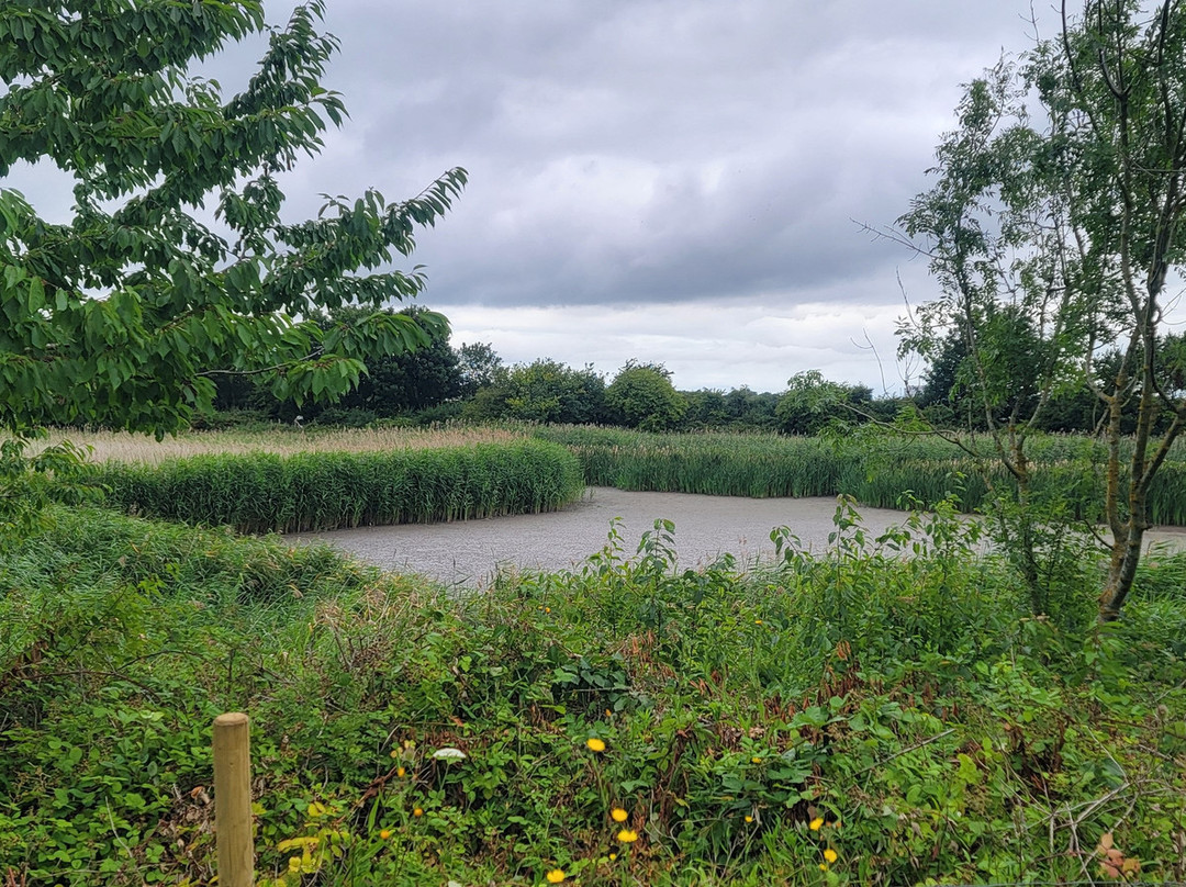Port Sunlight River Park-Port Sunlight必去景点