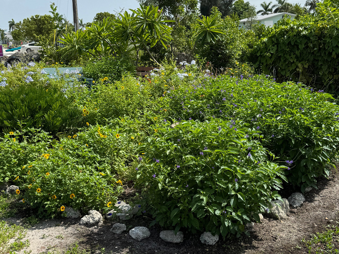 Sirenia Vista Park-开普科勒尔必去景点