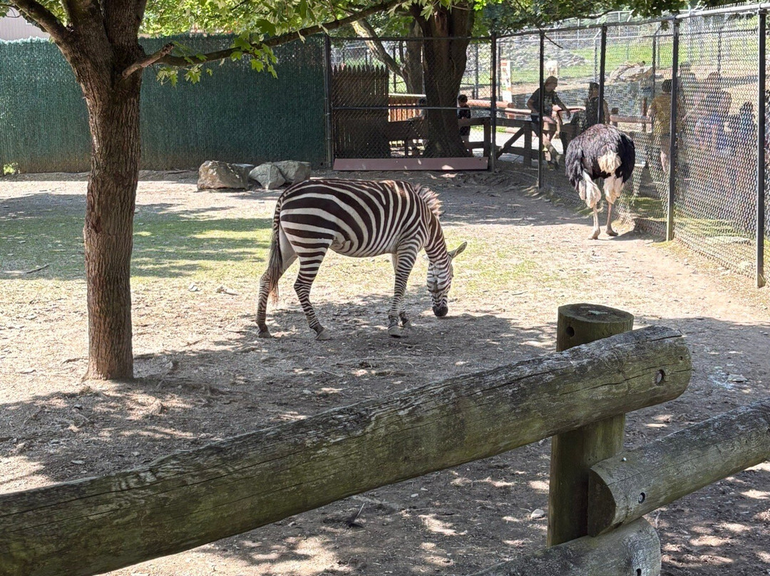 Lehigh Valley Zoo-Schnecksville必去景点