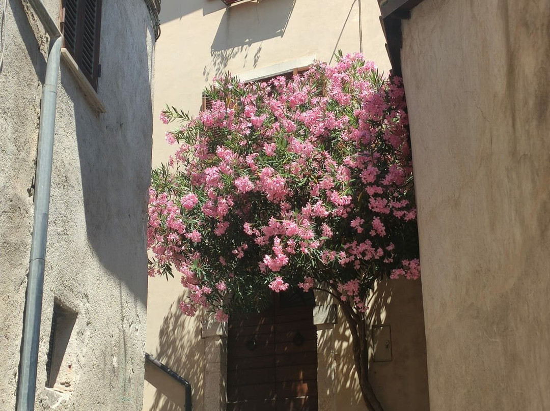 Tagliacozzo-Tagliacozzo必去景点