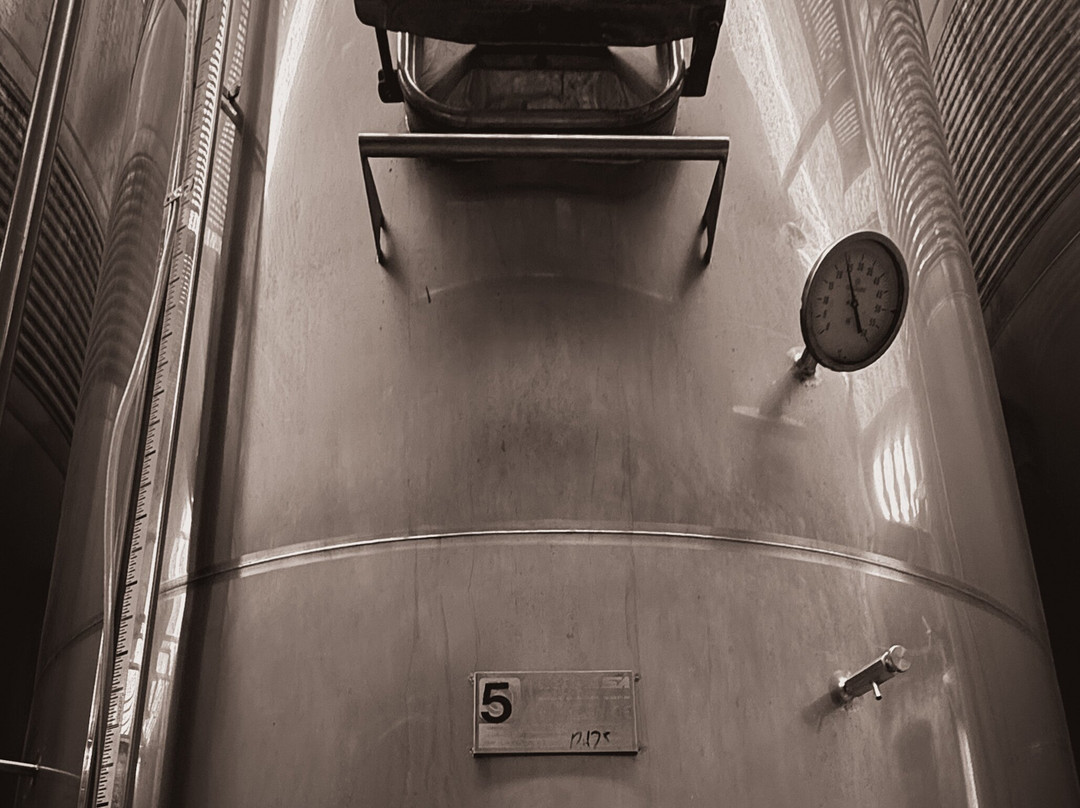 Finca Ca n'Estella-Sant Esteve Sesrovires必去景点