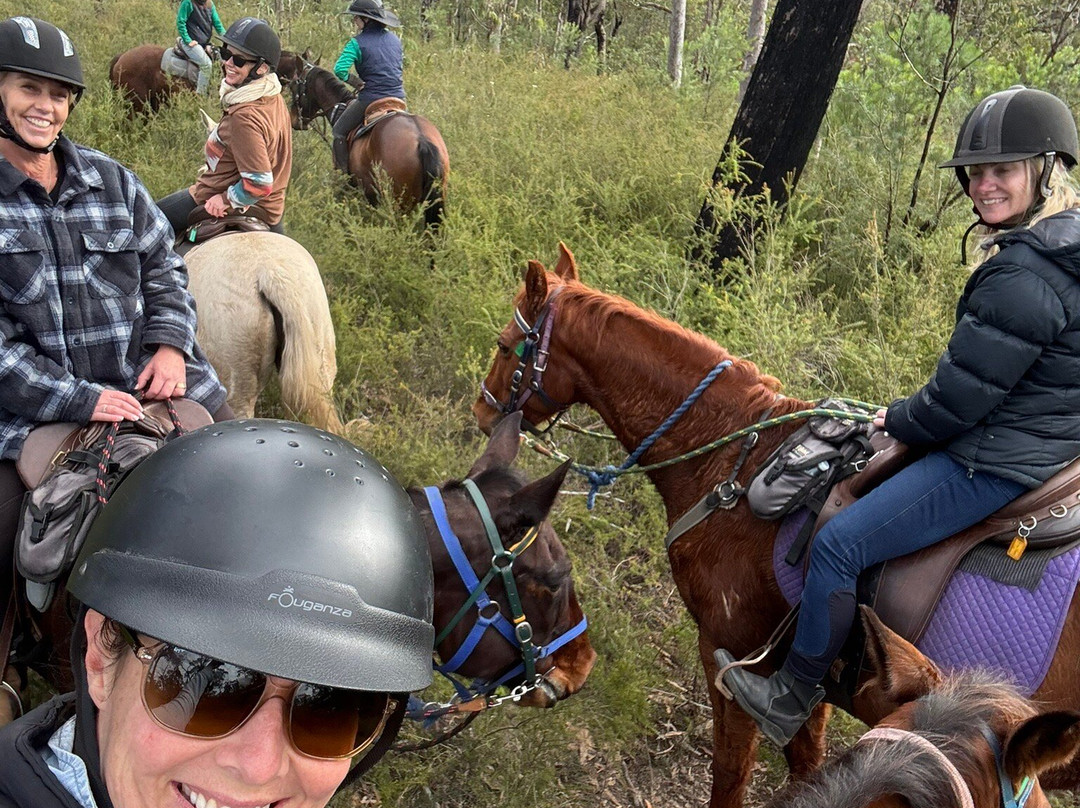 Chapman Valley Horse Riding-Howes Valley必去景点