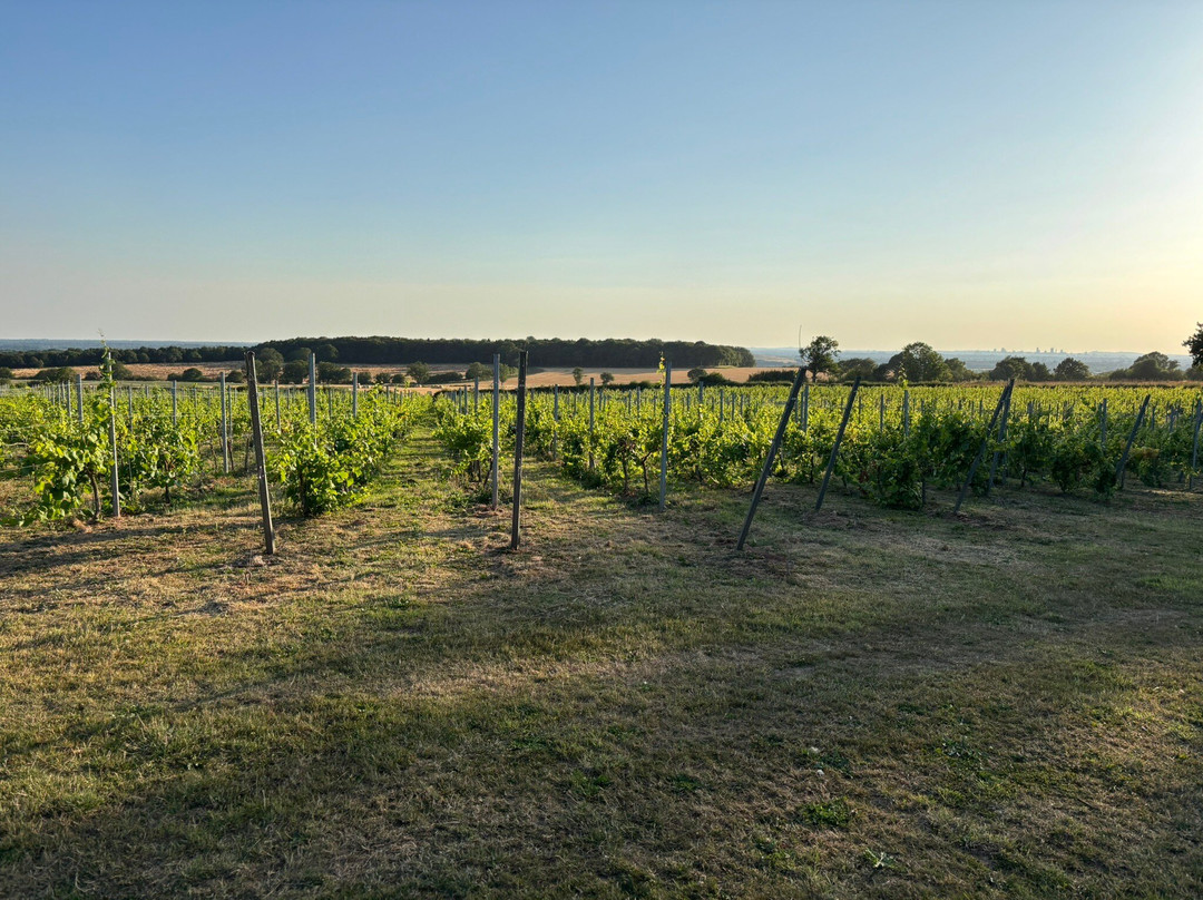 Blabers Hall Wine Estate-Fillongley必去景点