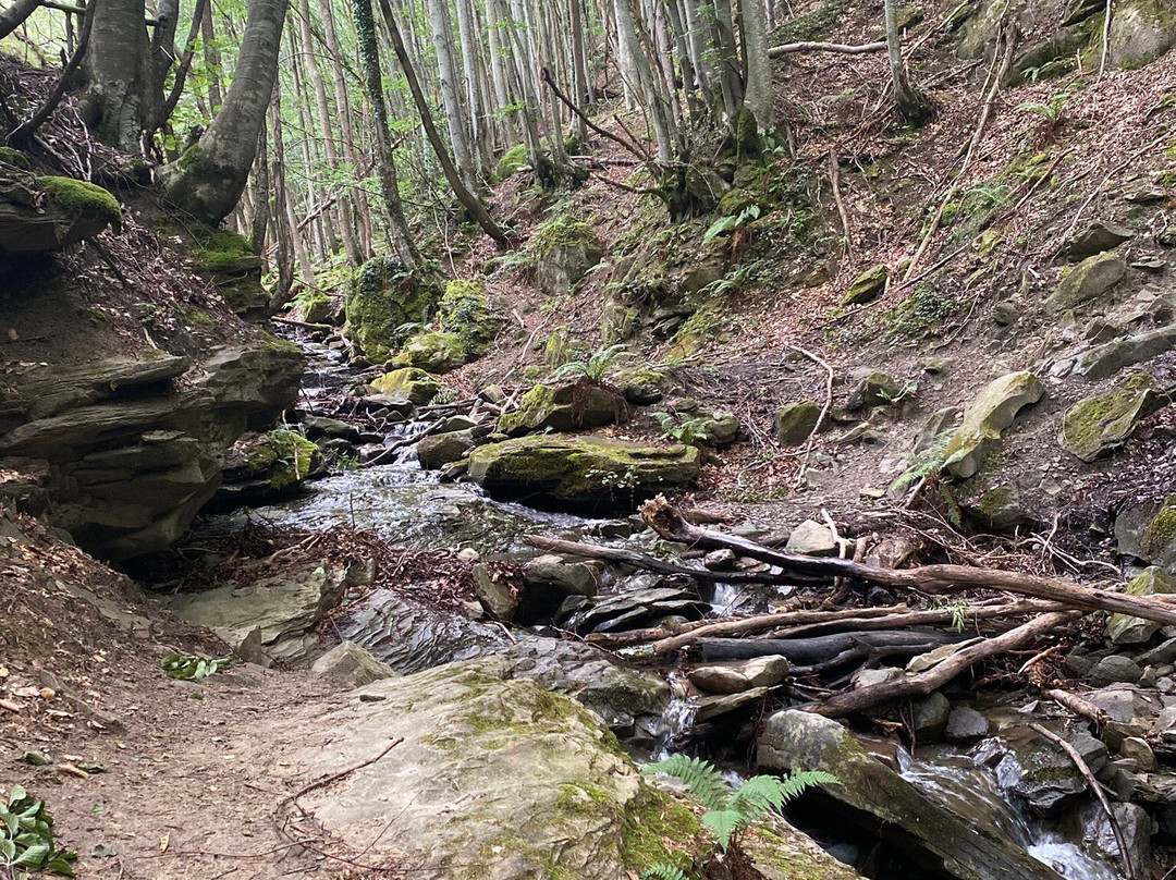 Cascata della Volpara e della Prata-Acquasanta Terme必去景点