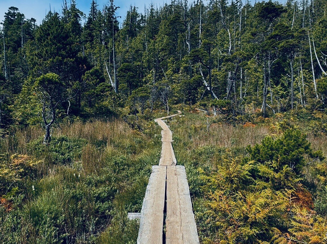 Canso Plane Crash Hike-托菲诺必去景点