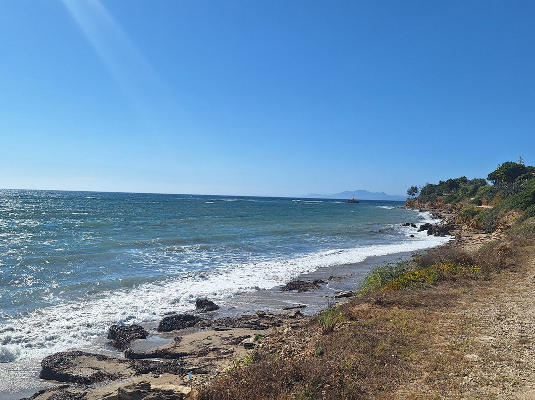 Adonis Hotel & Apartments主图