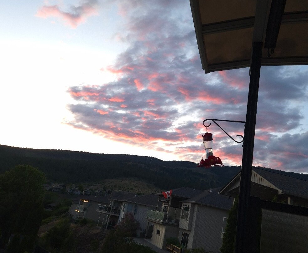 Adela's Bed and Breakfast主图