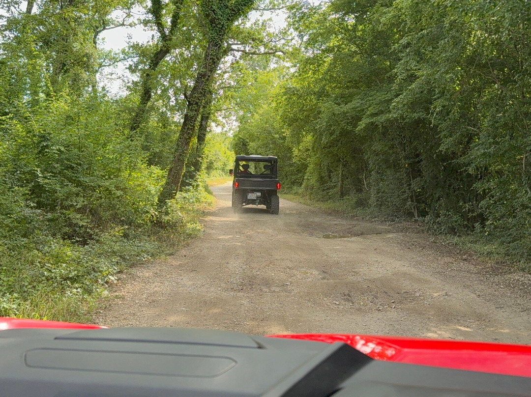 Istra Buggy-普拉必去景点