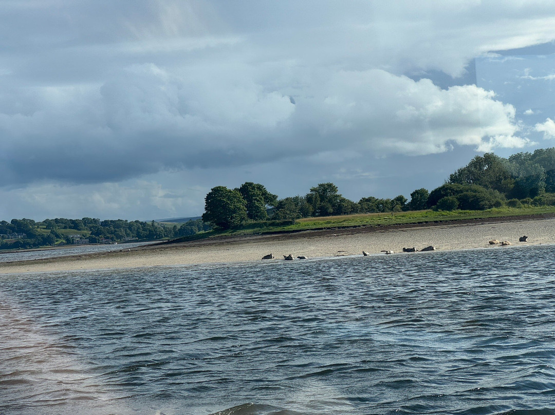 Donegal Bay Waterbus-多尼戈尔城镇必去景点