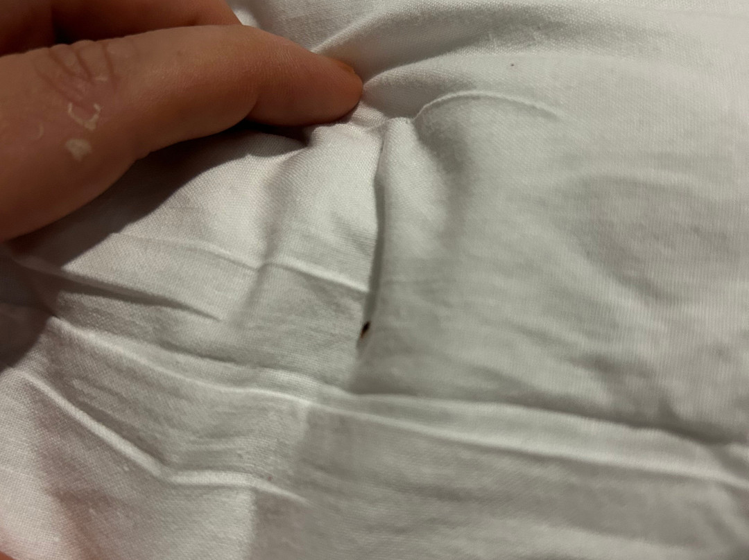 贝塞麦酒店主图