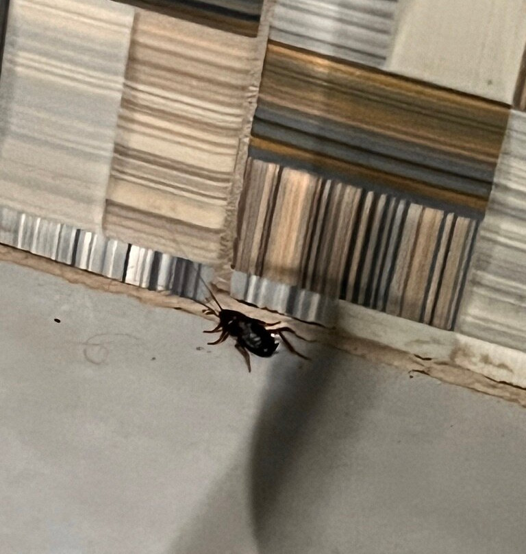 Thassos Hotel Grand Beach主图