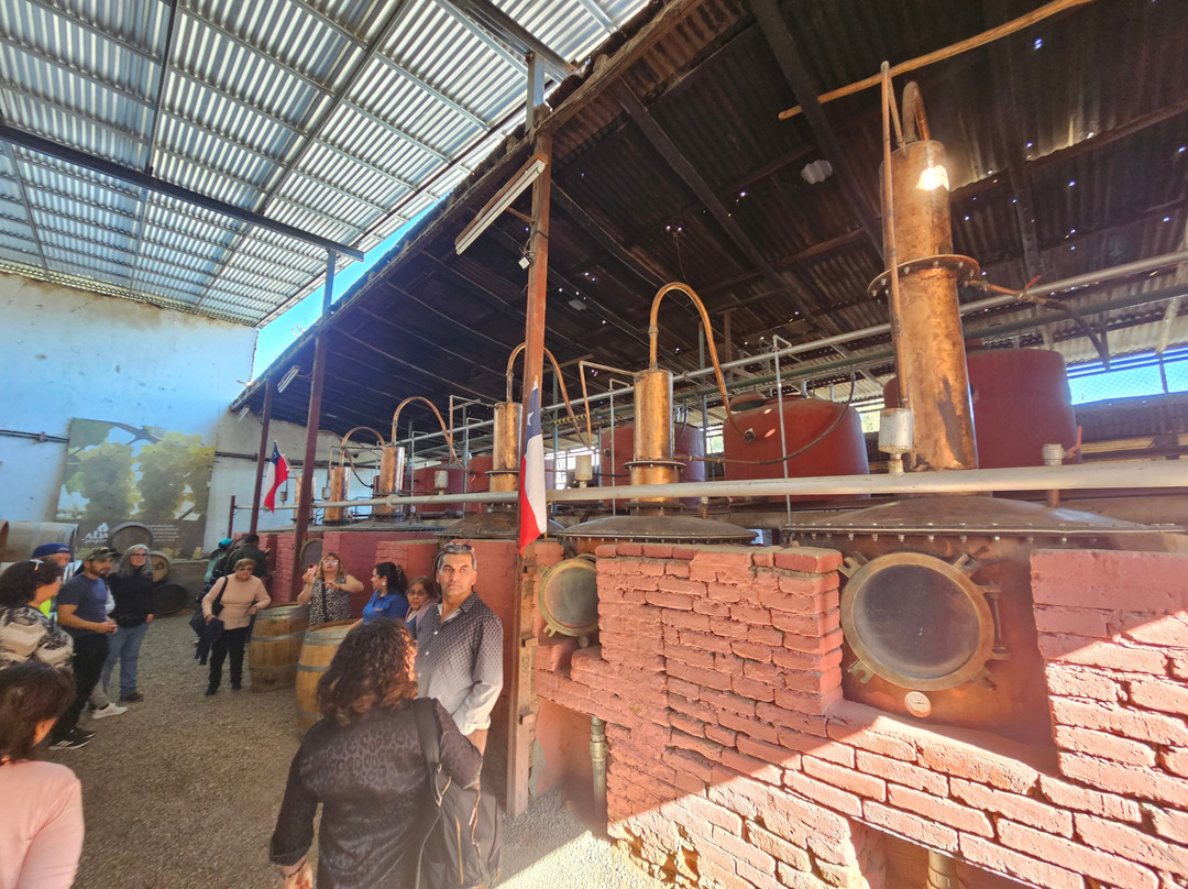 Pisquera Aba Oficial-Vicuna必去景点