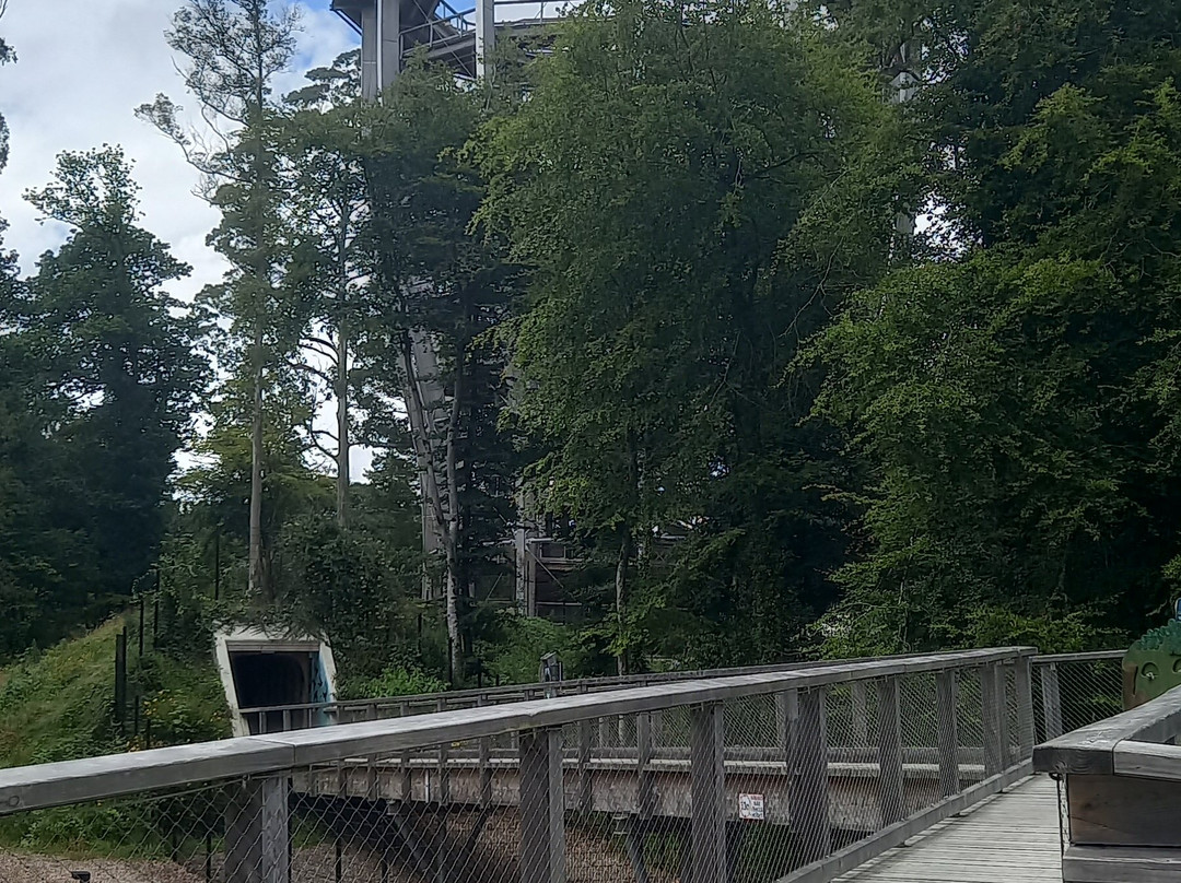 Beyond the Trees Avondale-Rathdrum必去景点
