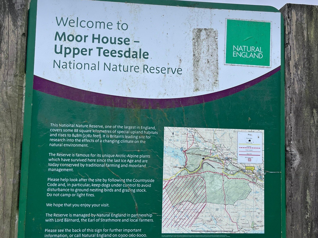 High Force Waterfall-Middleton in Teesdale必去景点