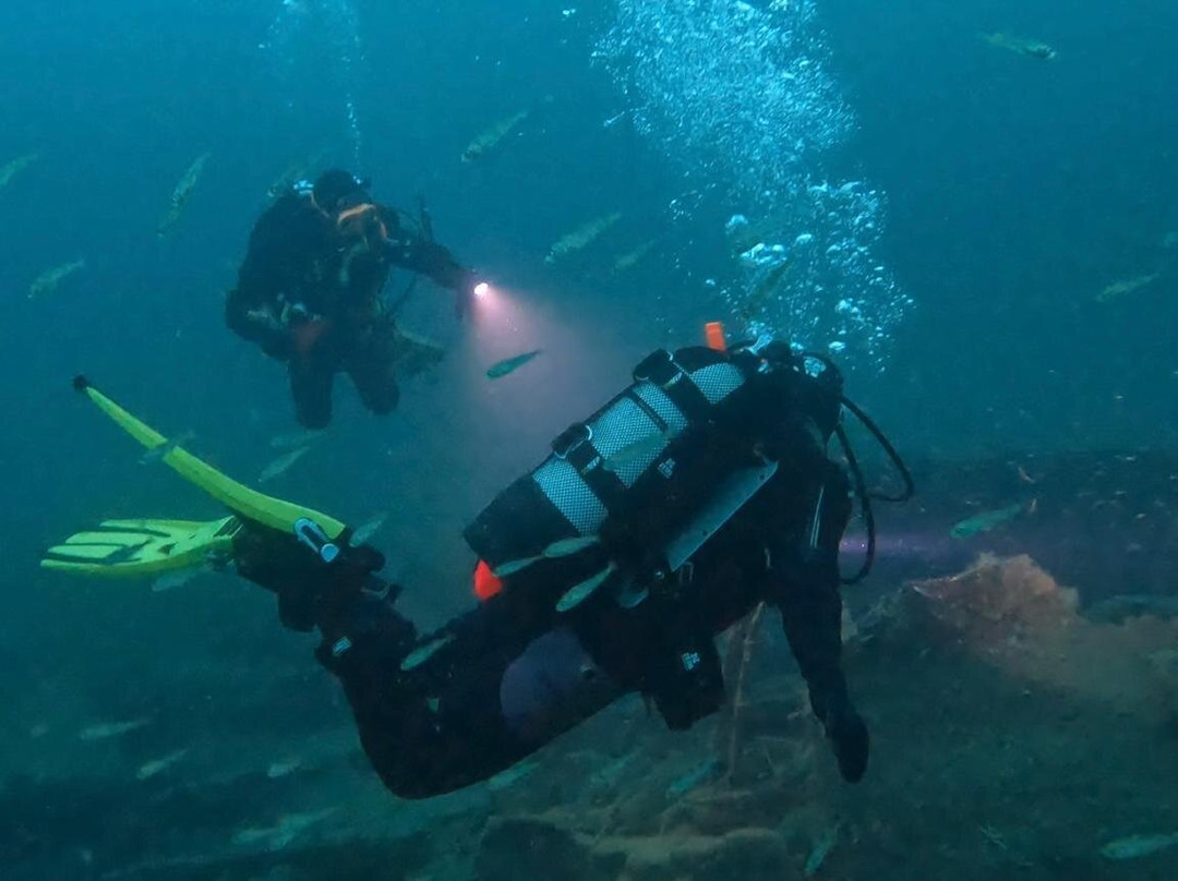 Kraken Diving-Birsay必去景点