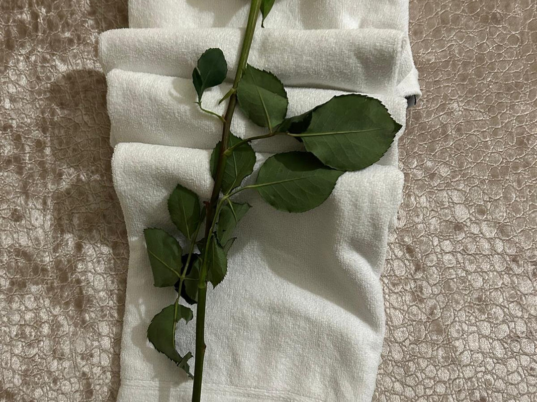 Iberostar Cristina主图