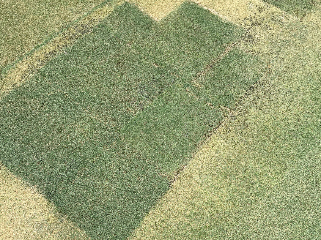 Amata Spring Country Club-春武里必去景点