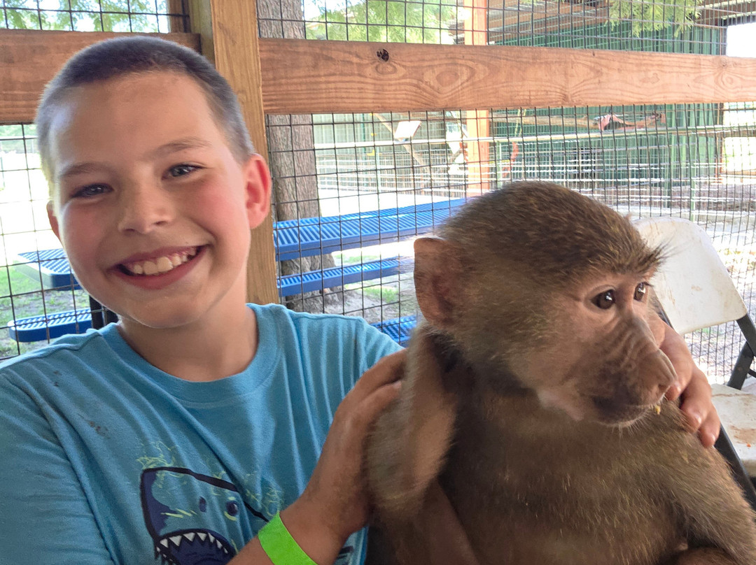 East Texas Gators and Wildlife Park-Grand Saline必去景点