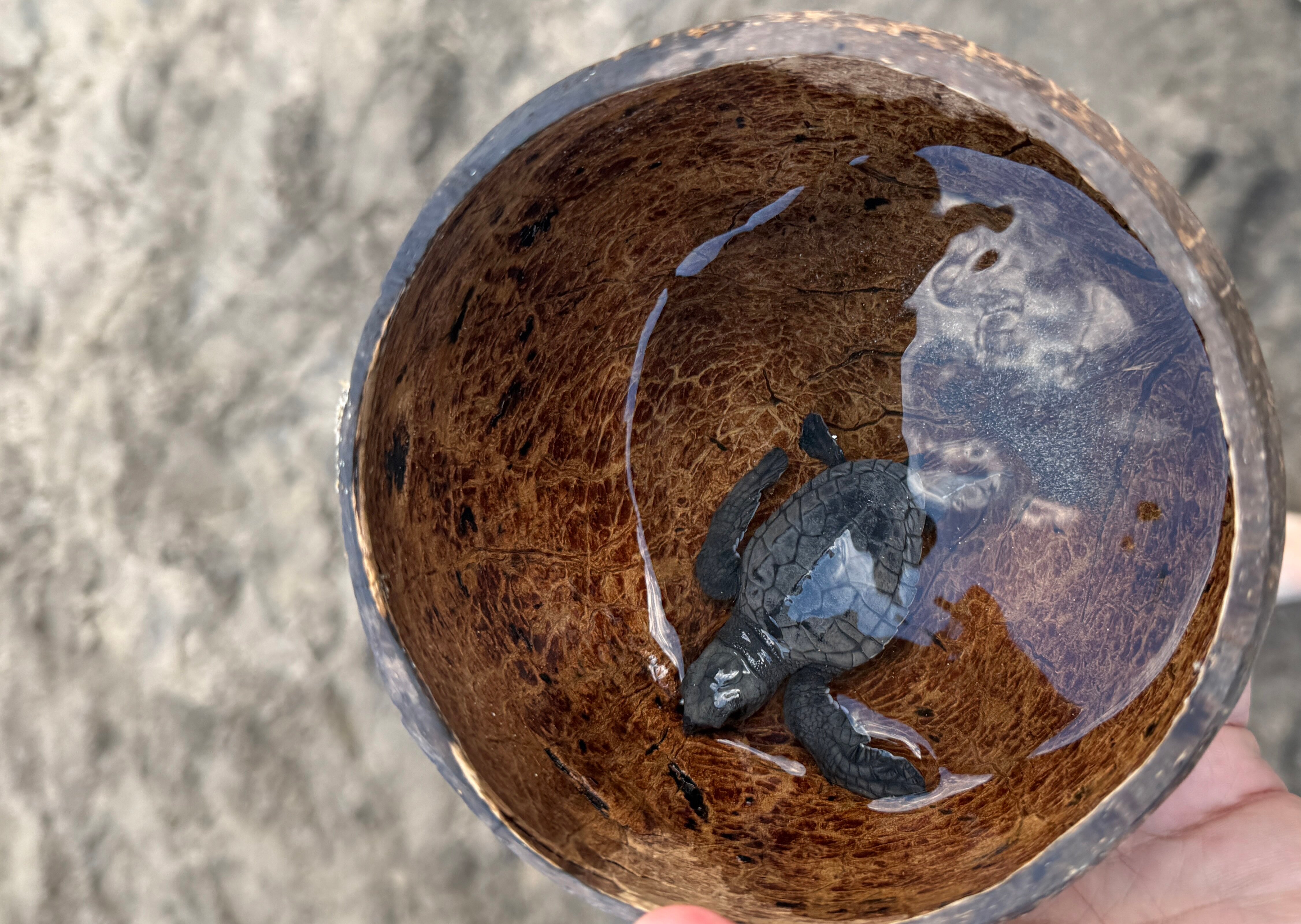 巴厘欧贝罗伊酒店-泳池