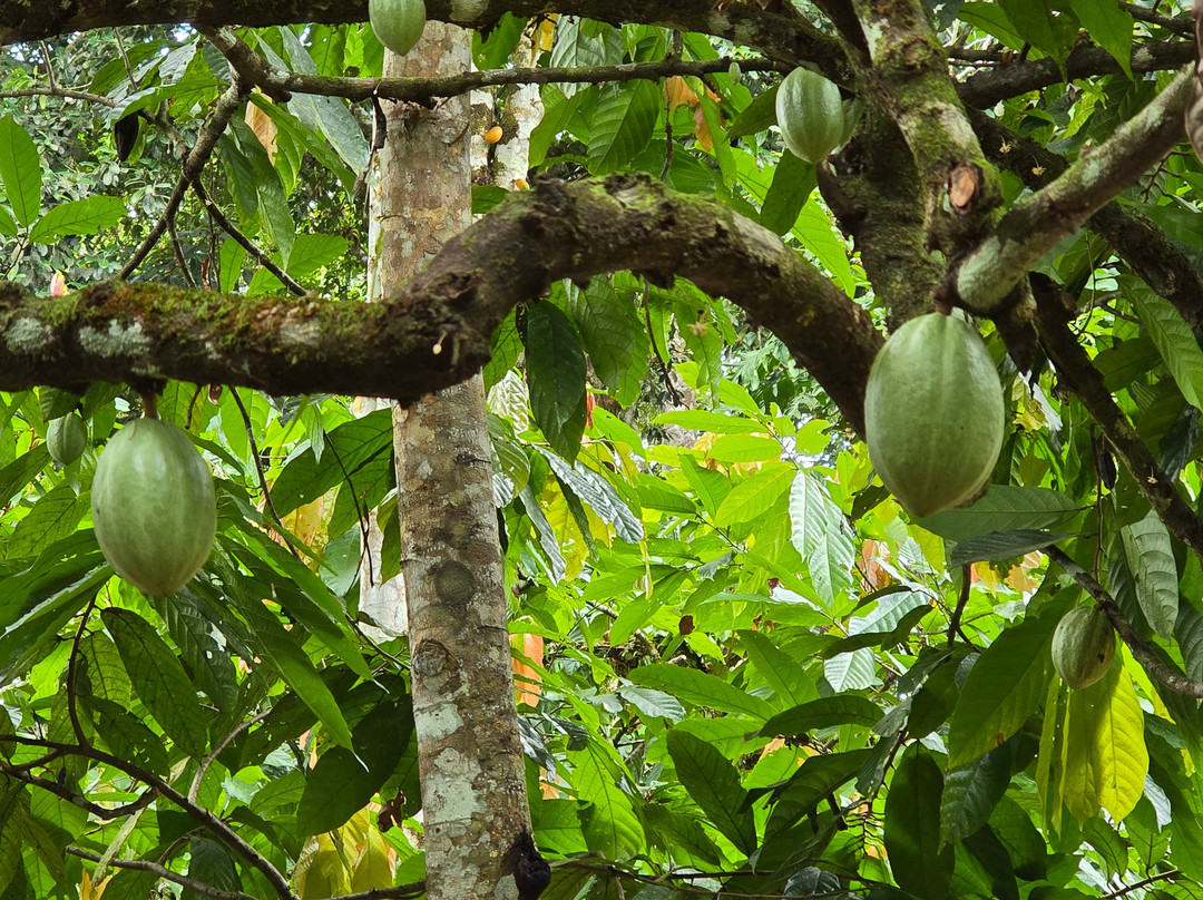 Vila Rosa-Itacare必去景点