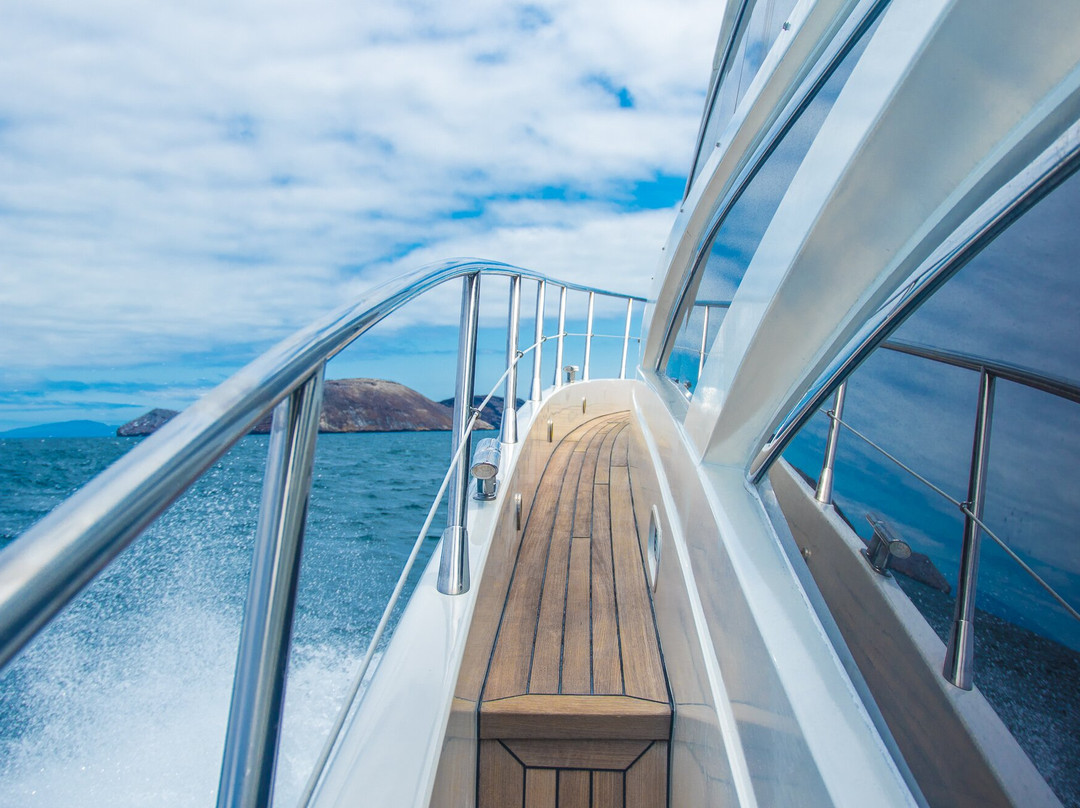 Windrose-阿约拉港必去景点