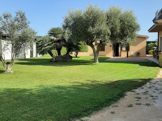 B&B Bonsai Alghero主图