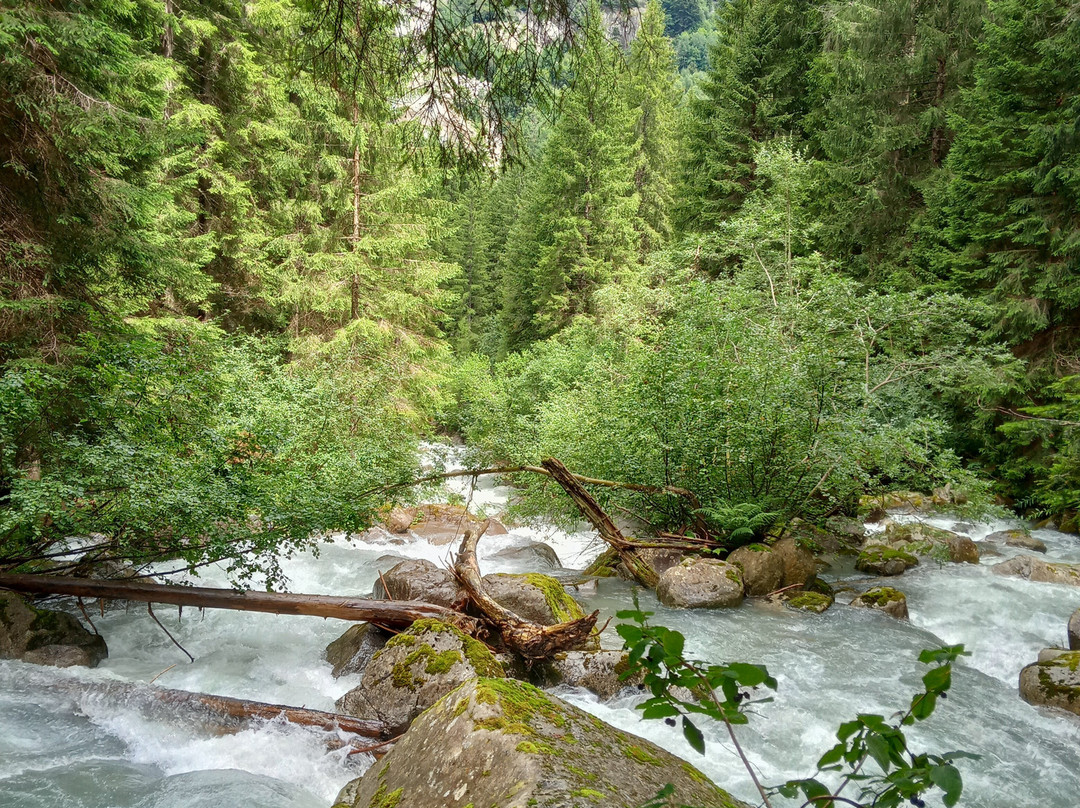 Nardis Waterfalls-Carisolo必去景点