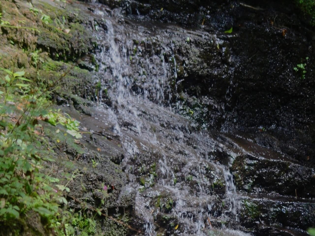 Fairy Glen-Appley Bridge必去景点