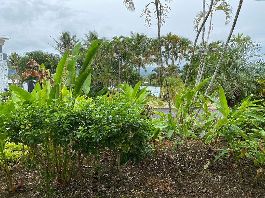 Taumeasina Island Resort主图