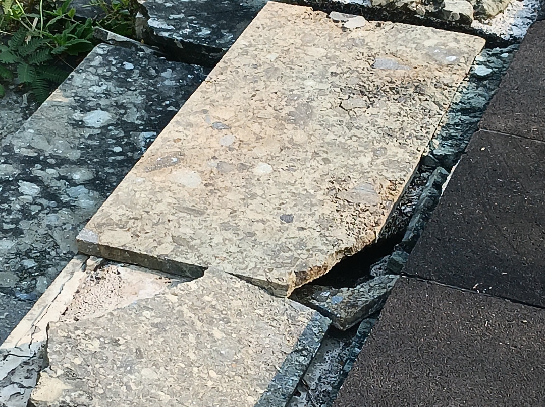 蓝海浮潜中心-Gili Air必去景点