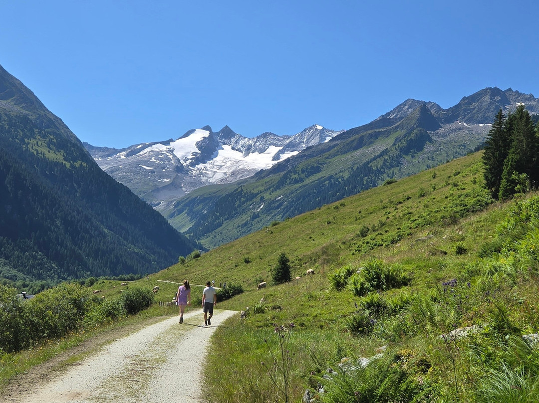 Gletscherblickalm Hochkrimml-克林莫必去景点