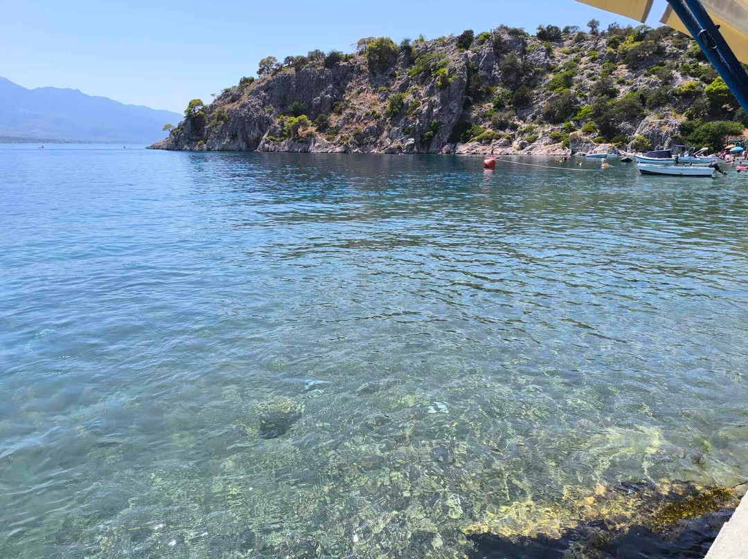 Psarotavérna O Sakelláris