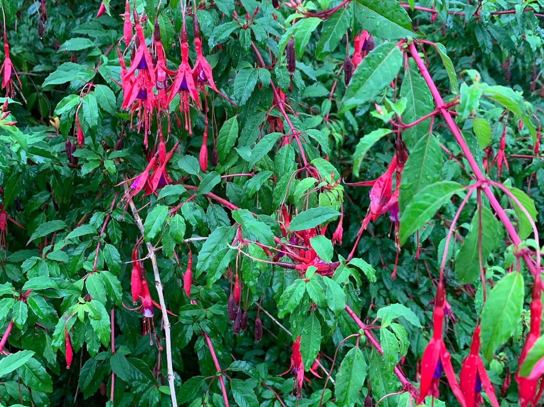 Old Aberdeen-阿伯丁必去景点