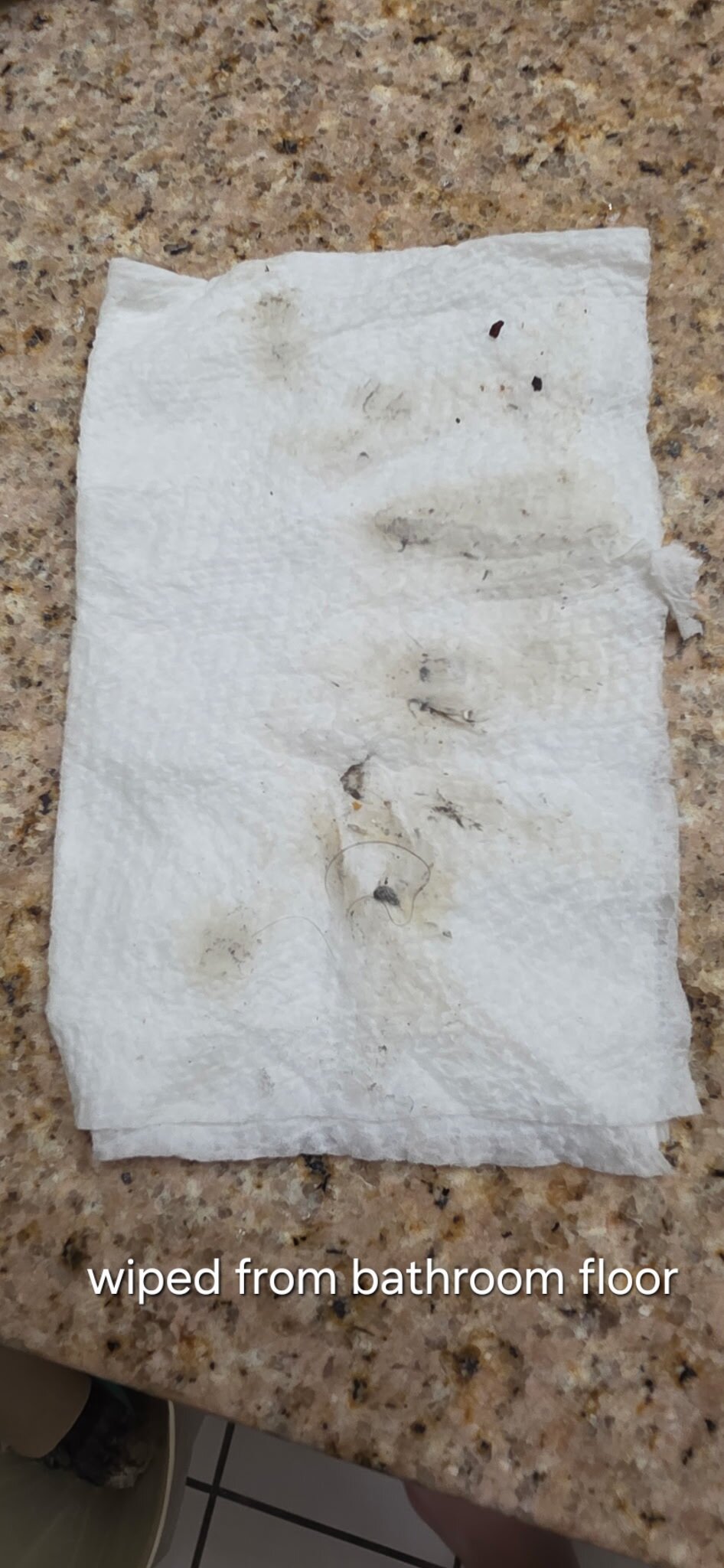 Best Western Gateway Grand-浴室