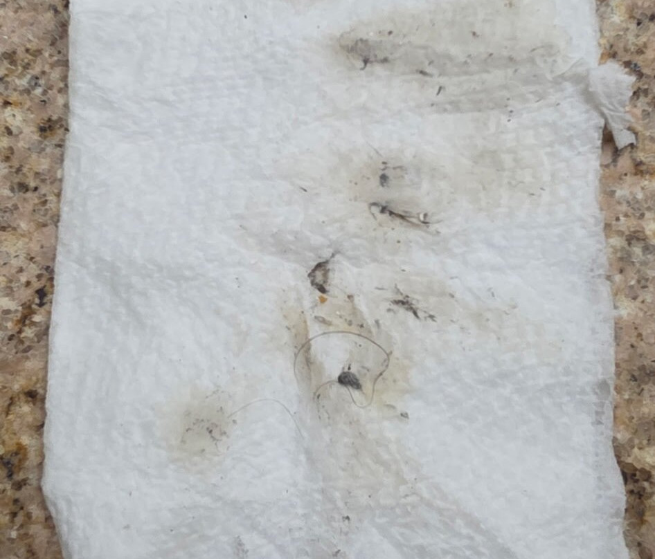 Best Western Gateway Grand主图