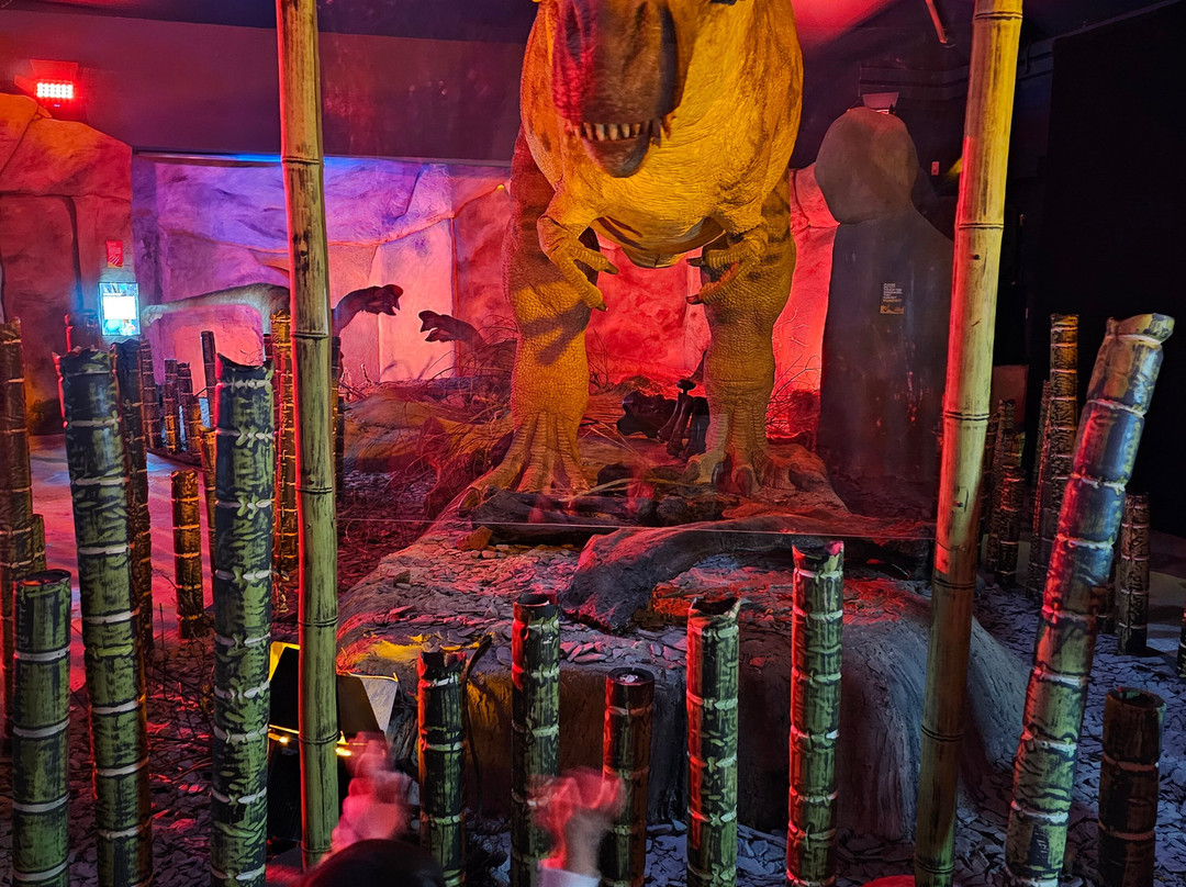 Jurassic Discovery-Seaton必去景点